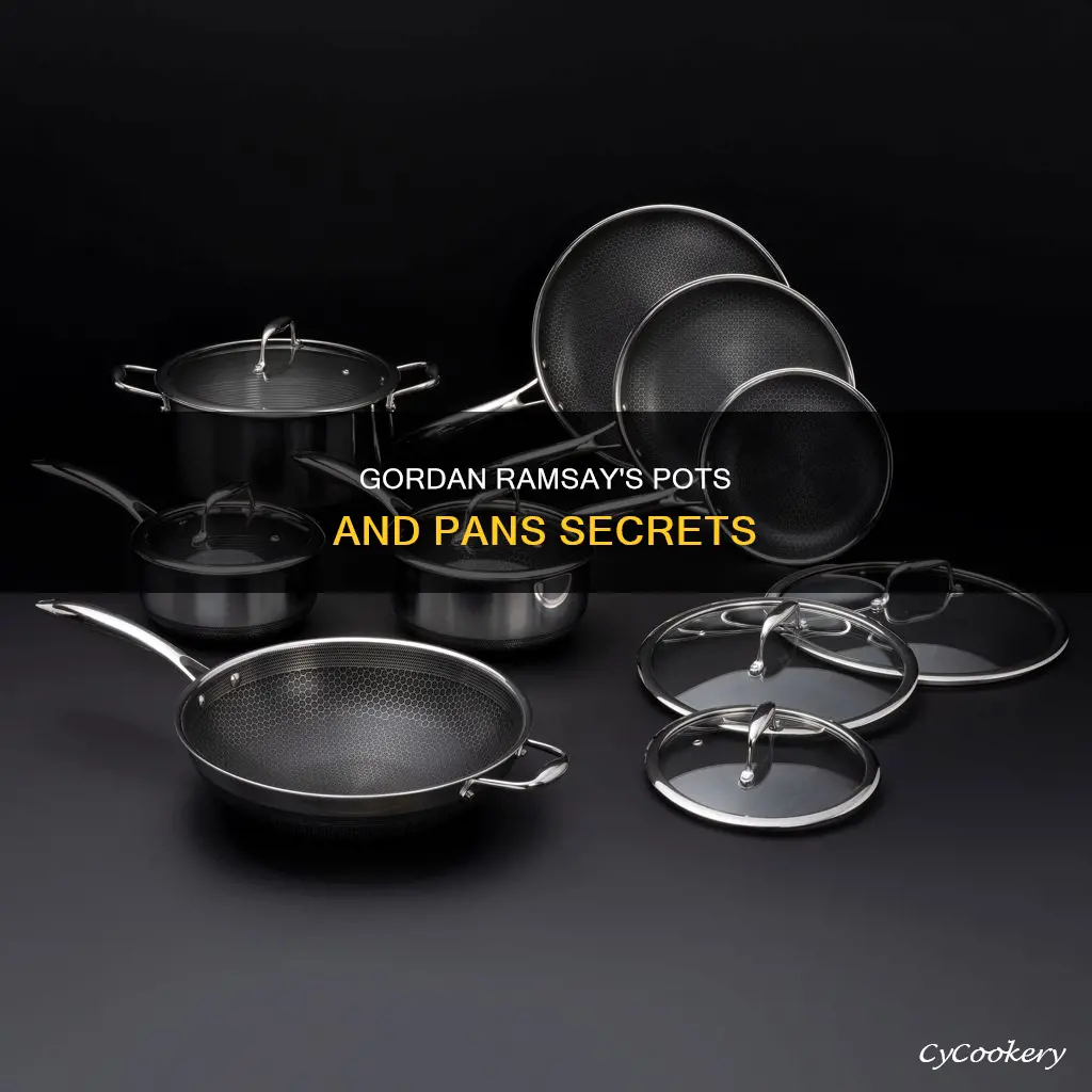 what are gordans ramsays pots pans