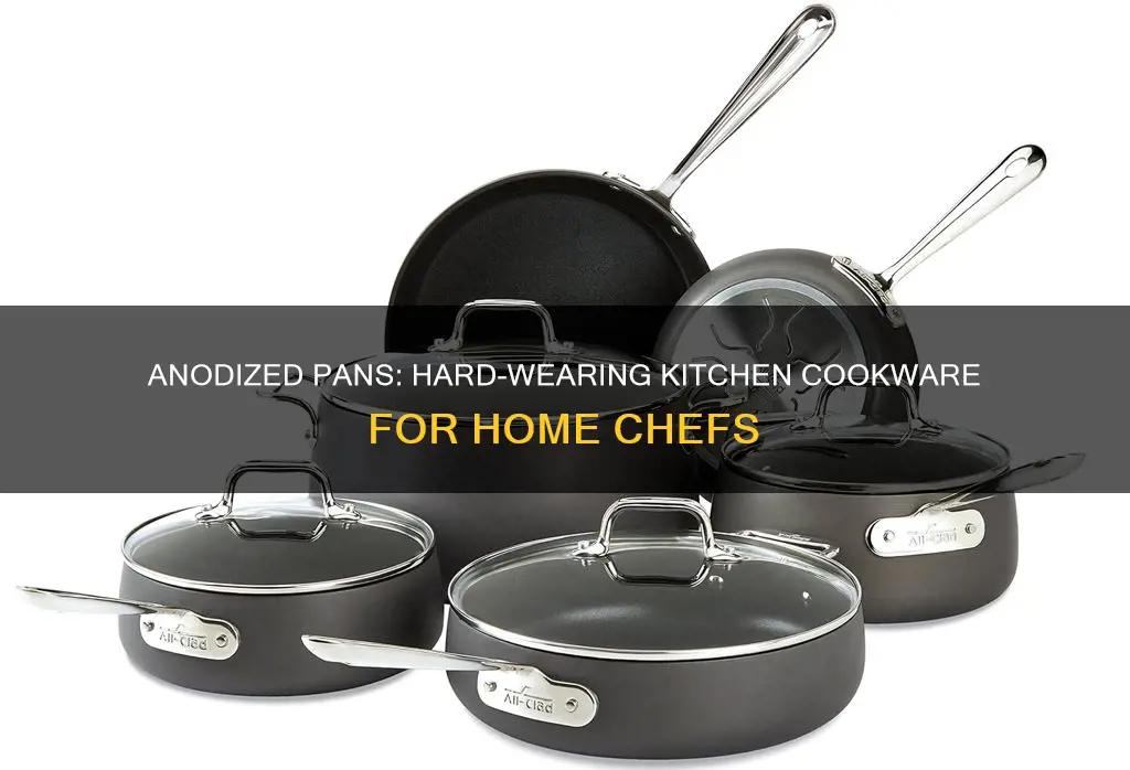 what are hard anodised pans