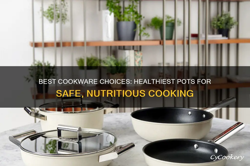 what are healthiest pots to use for cooking