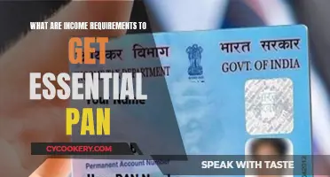 Income Eligibility for Applying for an Essential PAN Card