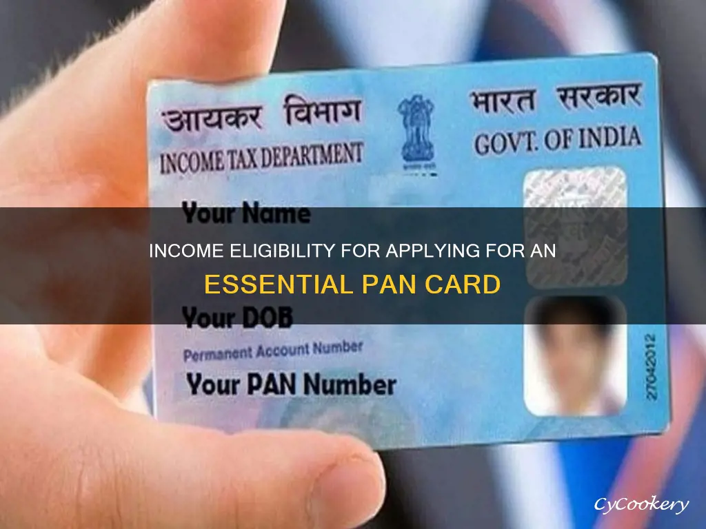 what are income requirements to get essential pan