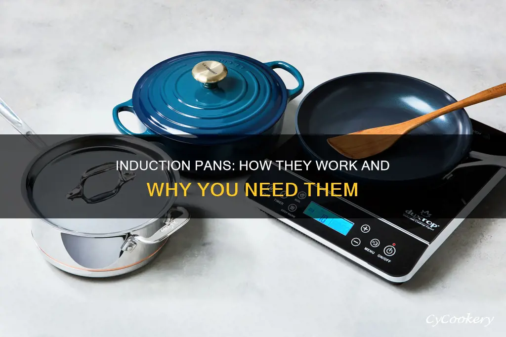 what are induction pans