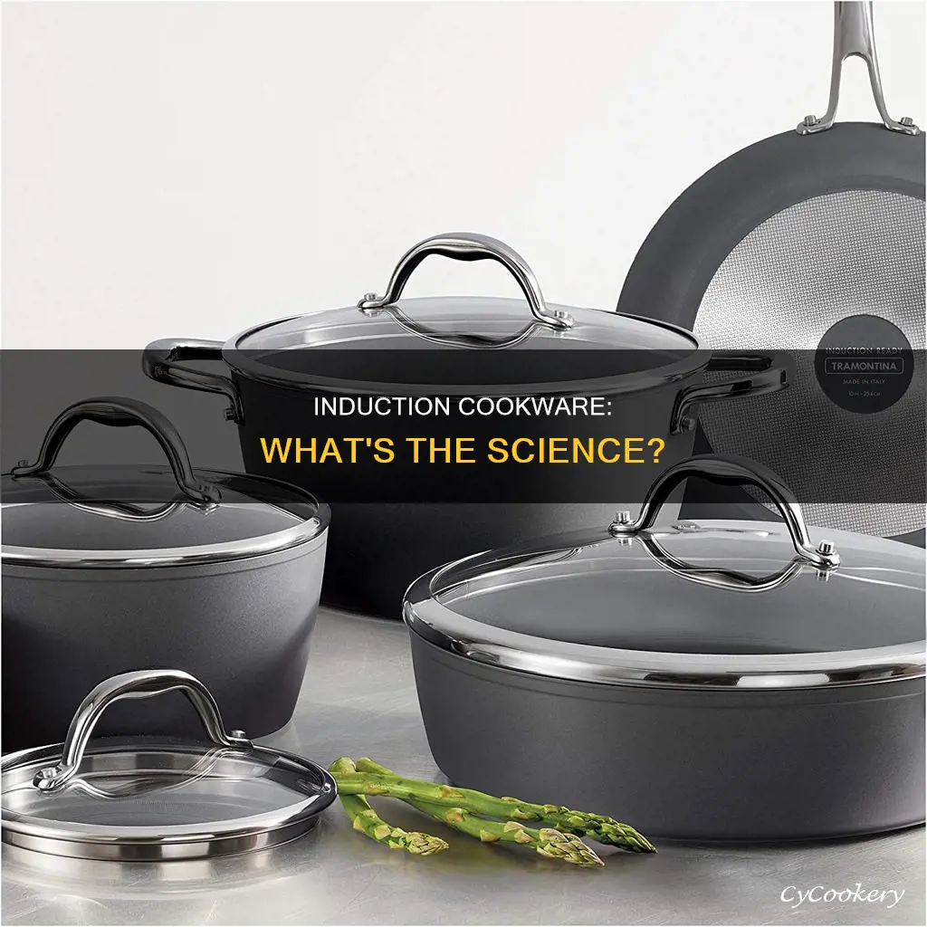 what are induction pots and pans