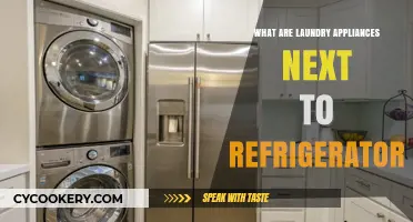Laundry Appliances: Exploring Their Role and Placement Near Refrigerators