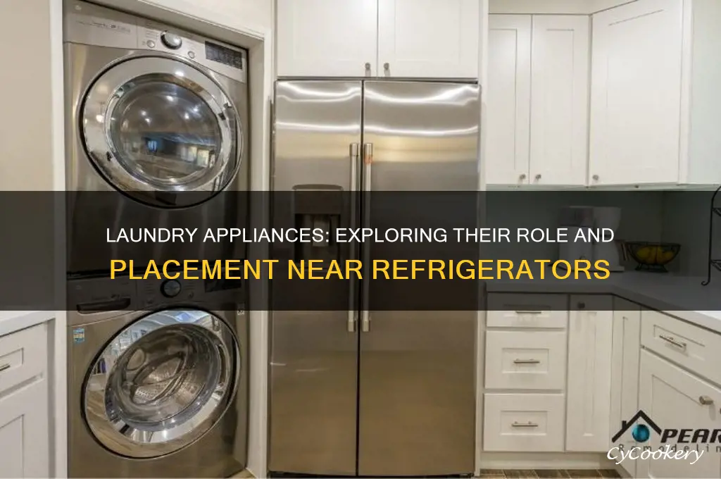 what are laundry appliances next to refrigerator
