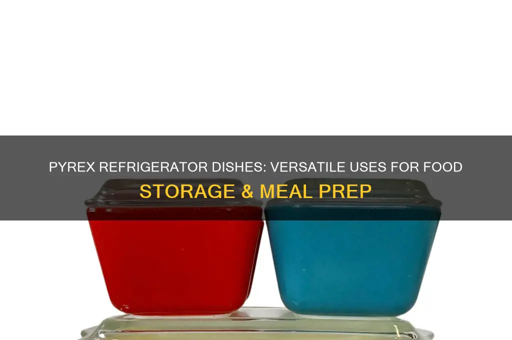 what are pyrex refrigerator dishes used for