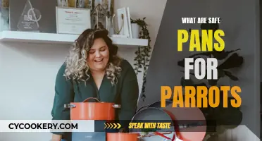 Parrot-Safe Pans: What's Safe?