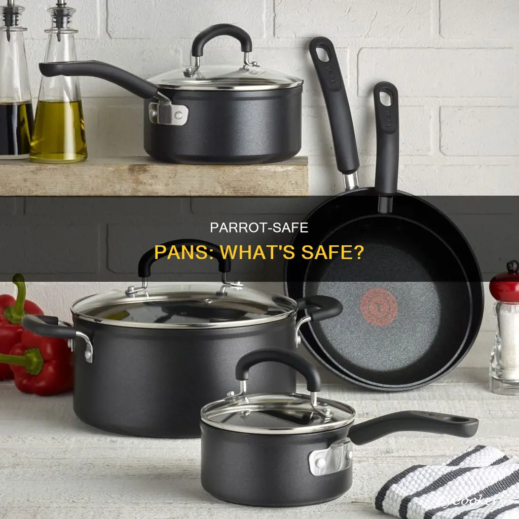 what are safe pans for parrots