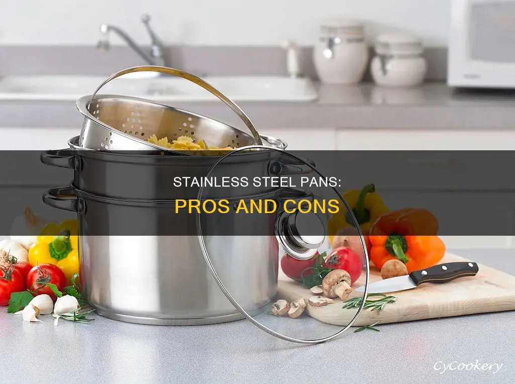 what are stainless steel pans good for