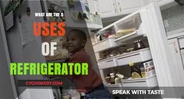 Discover the Top 5 Practical Uses of Your Refrigerator
