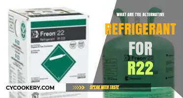 Eco-Friendly Alternatives to R22: Sustainable Refrigerant Options for Modern Systems