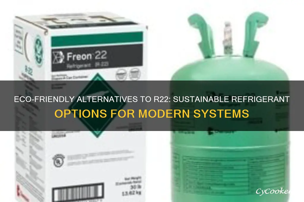 what are the alternative refrigerant for r22
