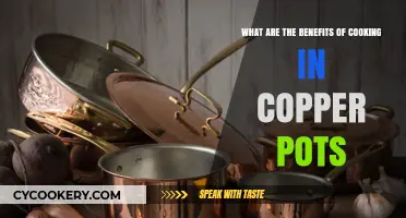 Copper Pots: Unlocking Culinary Excellence and Health Benefits in Cooking