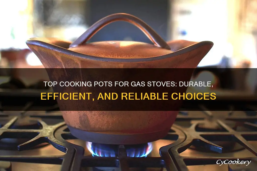 what are the best cooking pots for gas stoves