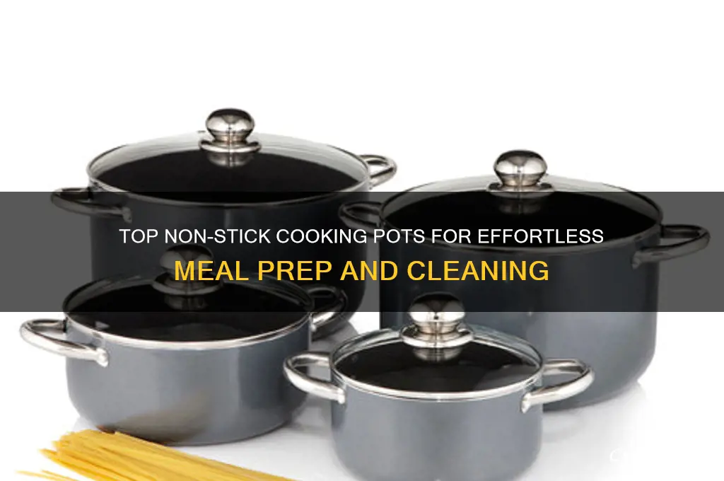 what are the best non stick cooking pots