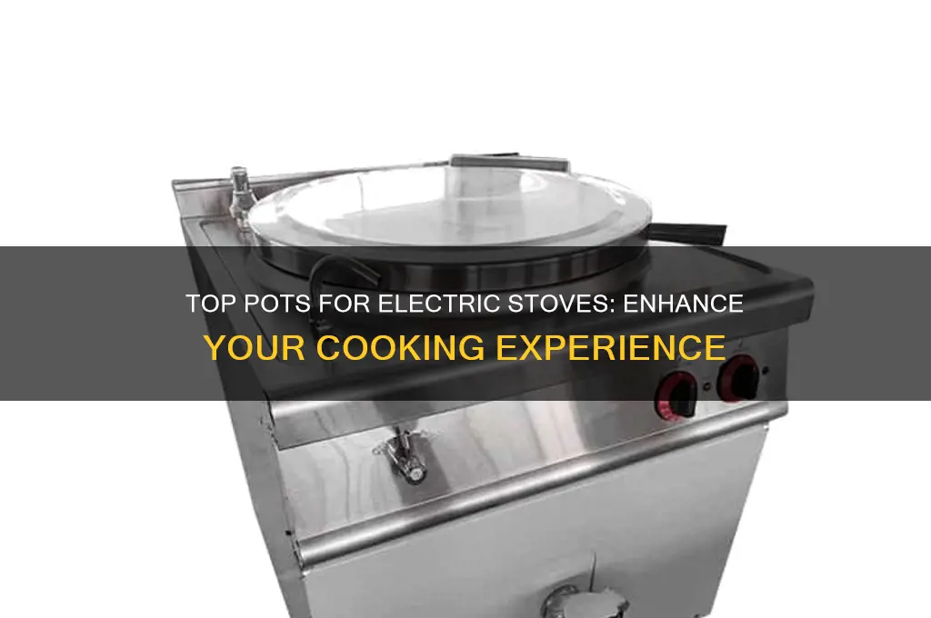 what are the best pots to cook on electric stove
