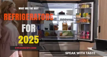 Top Refrigerators 2025: Innovative, Energy-Efficient, and Stylish Models to Buy
