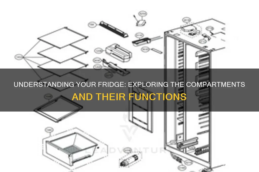 what are the compartments of a refrigerator