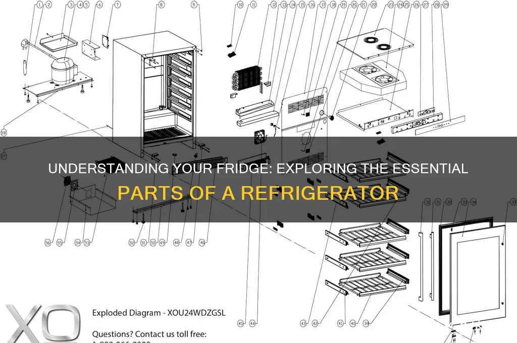what are the different parts of refrigerator