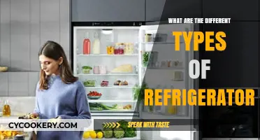 Exploring the Various Types of Refrigerators for Every Household Need