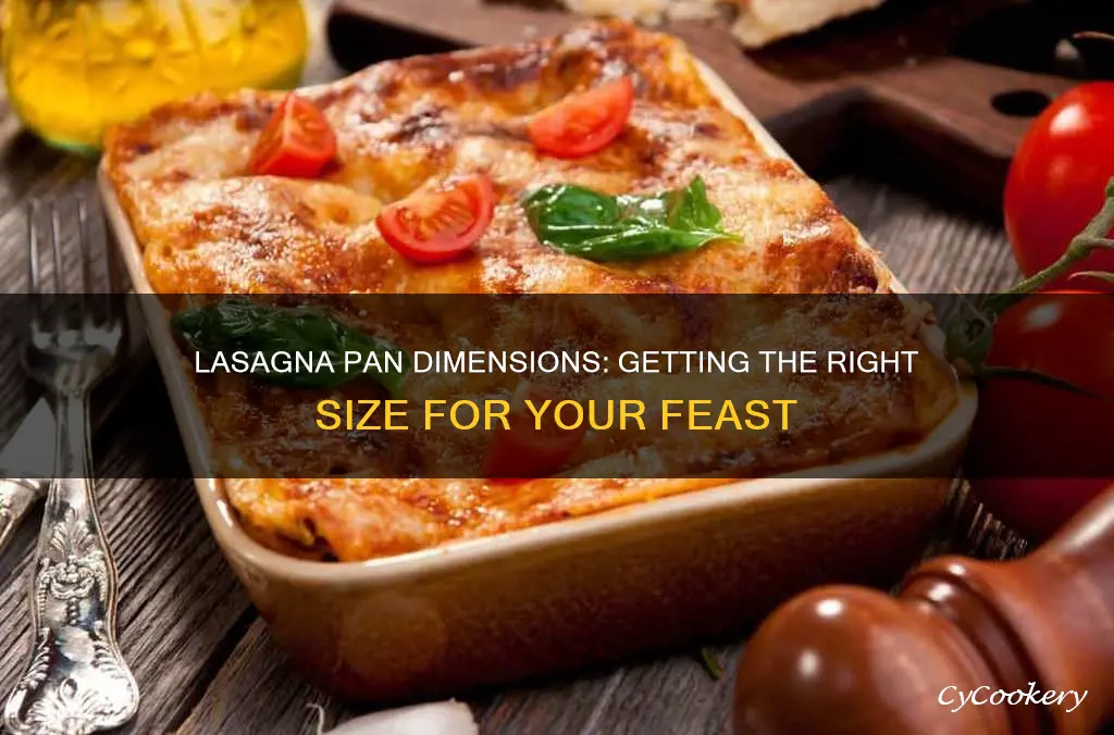 what are the dimensions of a lasagna pan