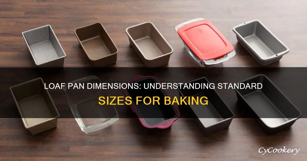 what are the dimensions of a loaf pan