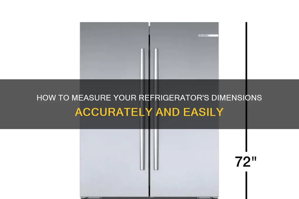 what are the dimensions of my refrigerator