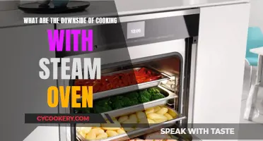 Steam Ovens: Are They Worth the Hype?