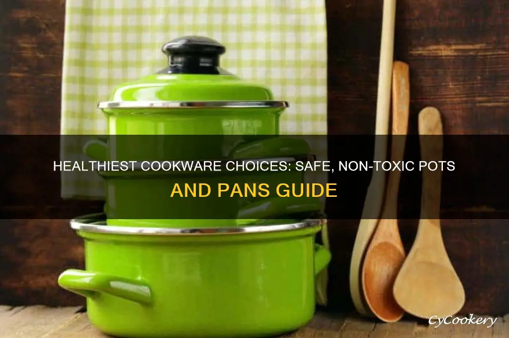 what are the healthiest pots and pans to use
