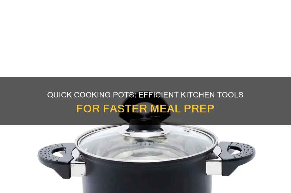 what are the quick cooking pots