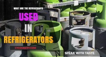 Exploring Common Refrigerants Used in Modern Refrigerators and Their Impact