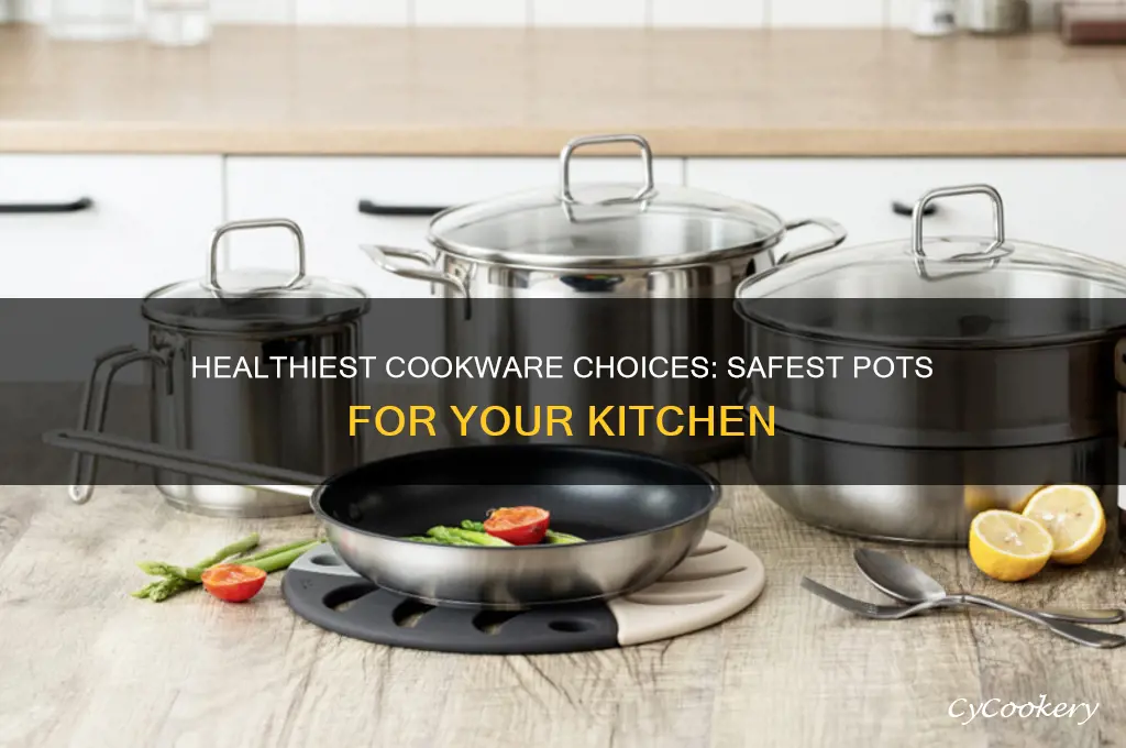 what are the safest pots to cook in