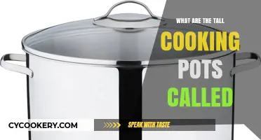 Tall Cooking Pots Explained: Discover the Name and Uses of These Vessels