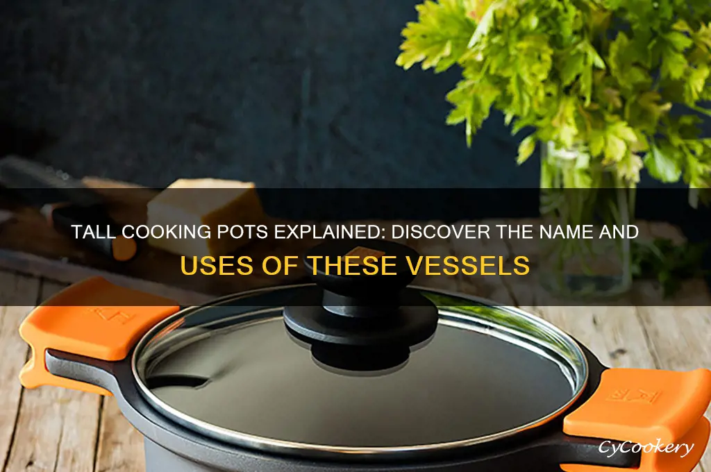 what are the tall cooking pots called