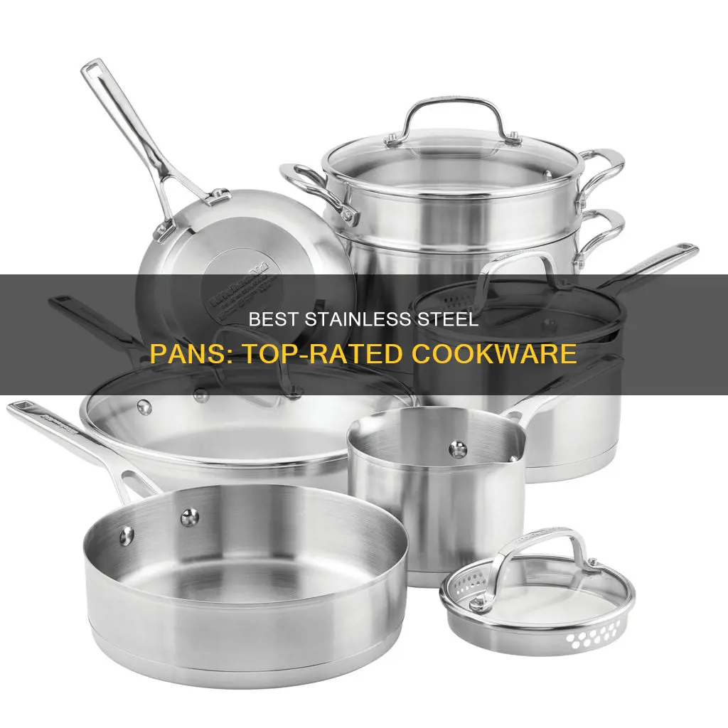 what are the top rated stainless steel pans