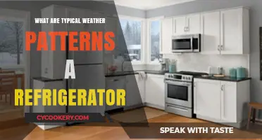 Understanding Typical Weather Patterns and Their Impact on Refrigerators