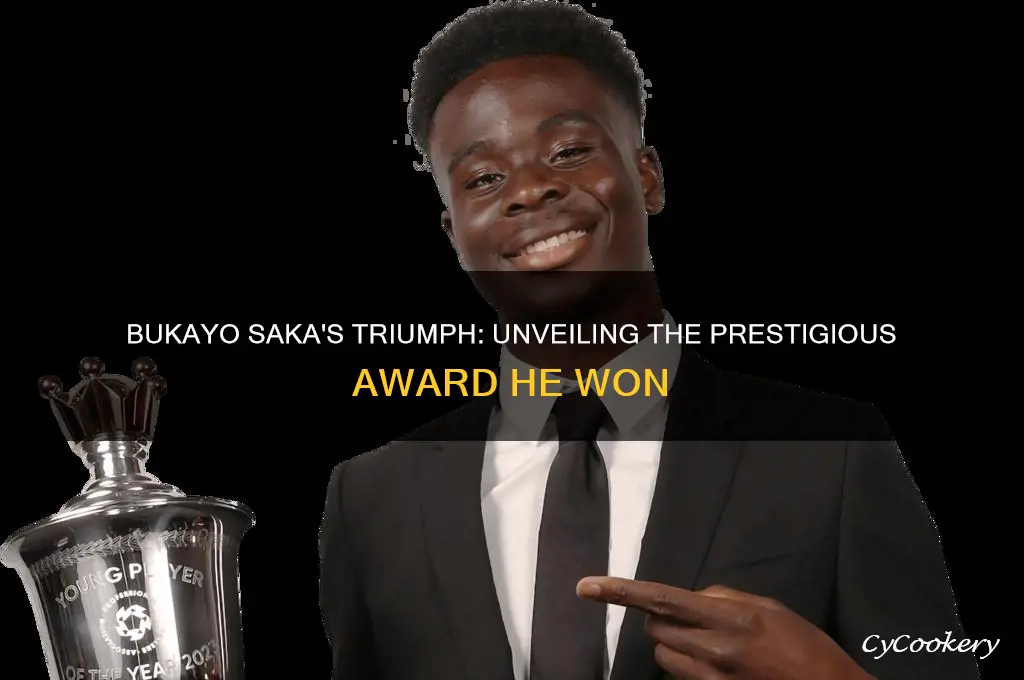 what award did saka win