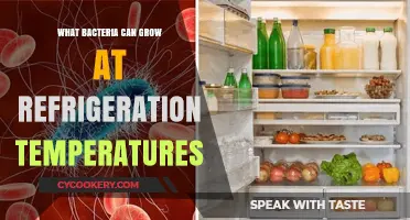 Chilling Truth: Bacteria That Thrive in Your Refrigerator