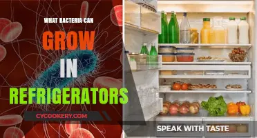 Chilling Truth: Unseen Bacteria Thriving in Your Refrigerator