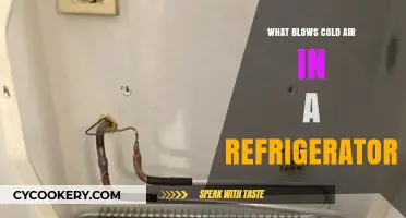 How Refrigerators Use Evaporators to Blow Cold Air Inside