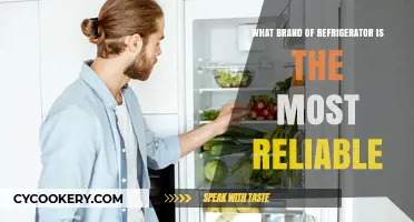 Discover the Most Reliable Refrigerator Brand for Long-Lasting Performance