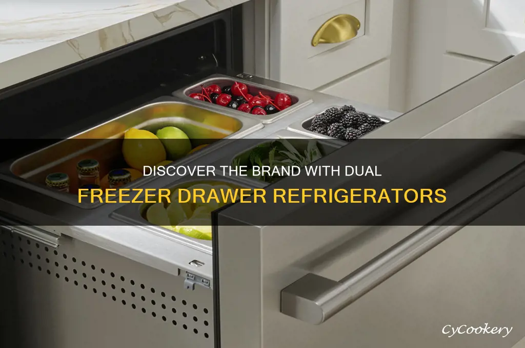 what brand refrigerator has two freezer drawers
