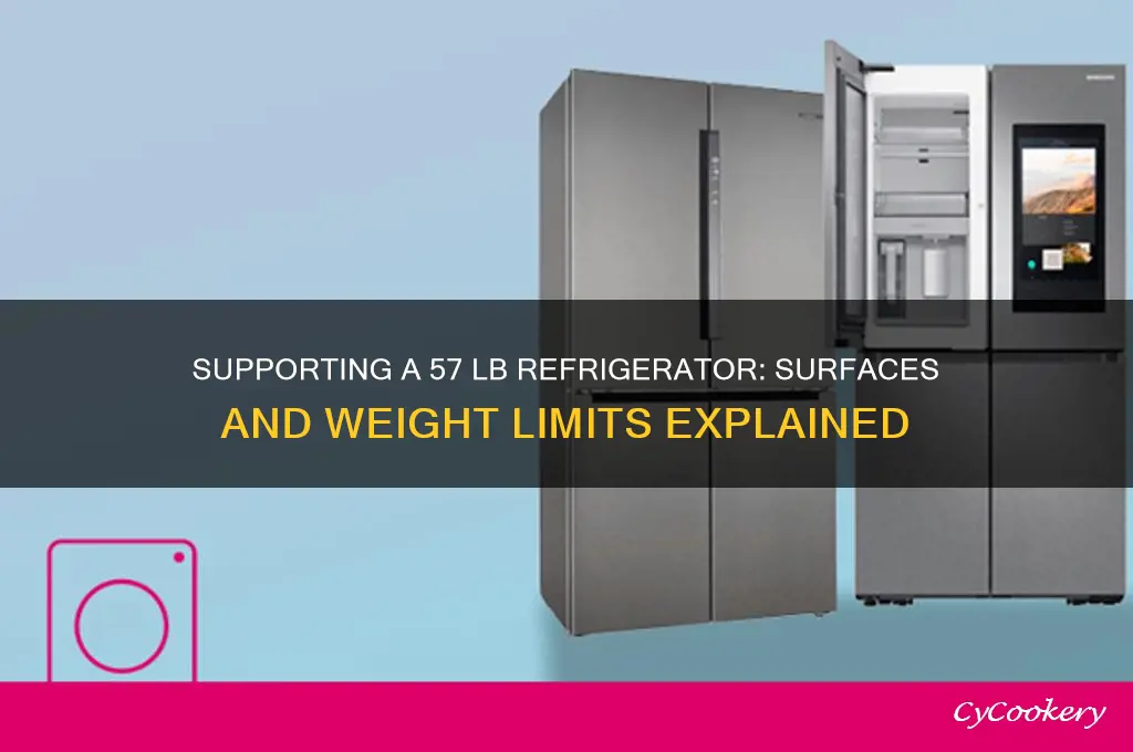 what can a 57 lb refrigerator set on