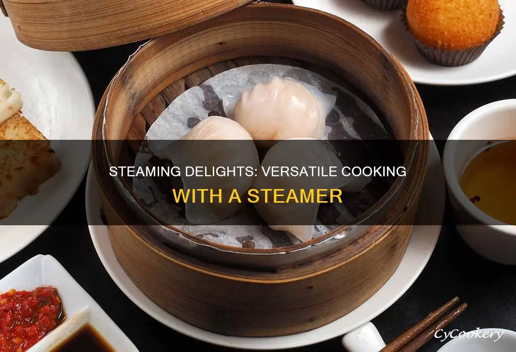 what can a steamer cook