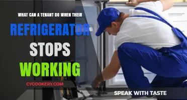 Refrigerator Breakdown: Tenant's Guide to Quick Fixes and Rights