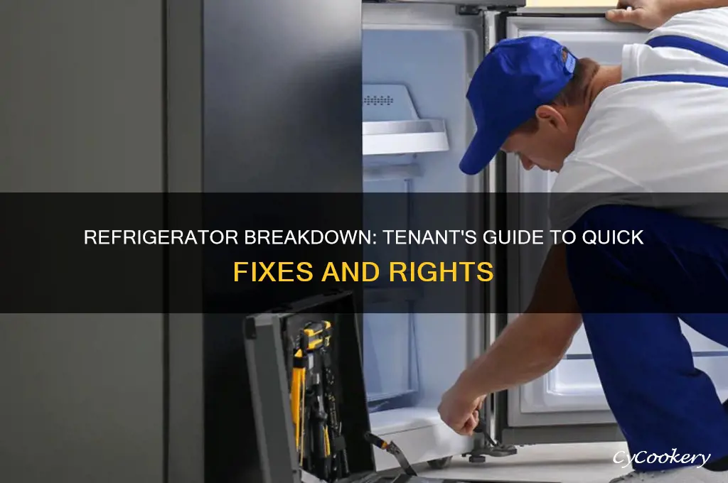 what can a tenant do when their refrigerator stops working