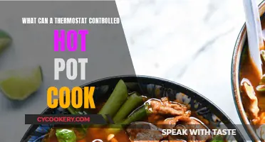 The Versatile Thermostat-Controlled Hot Pot: Cooking Beyond Broth