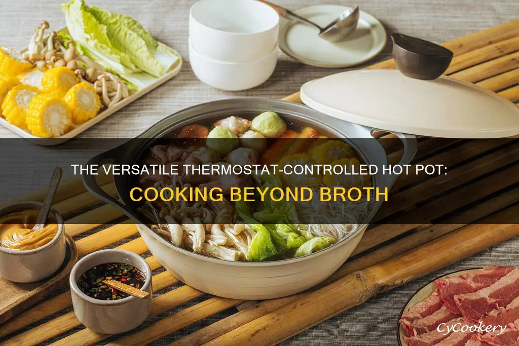 what can a thermostat controlled hot pot cook