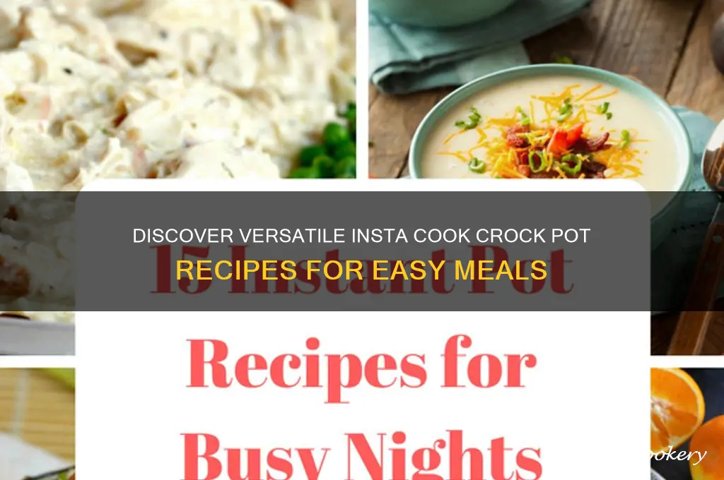 what can an insta cook crock pot cook