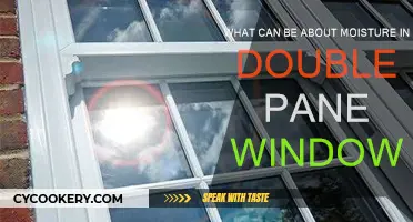 Double Pane Windows: Why Moisture is a Concern